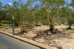 Australia 12-07-08